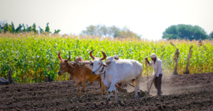 Read more about the article Rural Fintech Jai Kisan Bags $18 Mn From Blume Ventures, Others