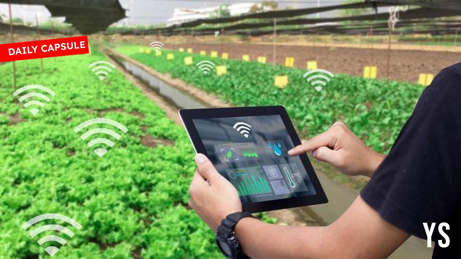 You are currently viewing Budget expectations of agritech players; What are serum candles?