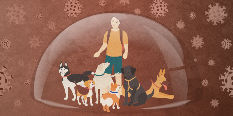 You are currently viewing Pet health management apps: The role of AI in tracking vaccinations, treatments