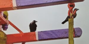 Read more about the article The future is now: VR Bengaluru hosts month-long exhibition on art and technology