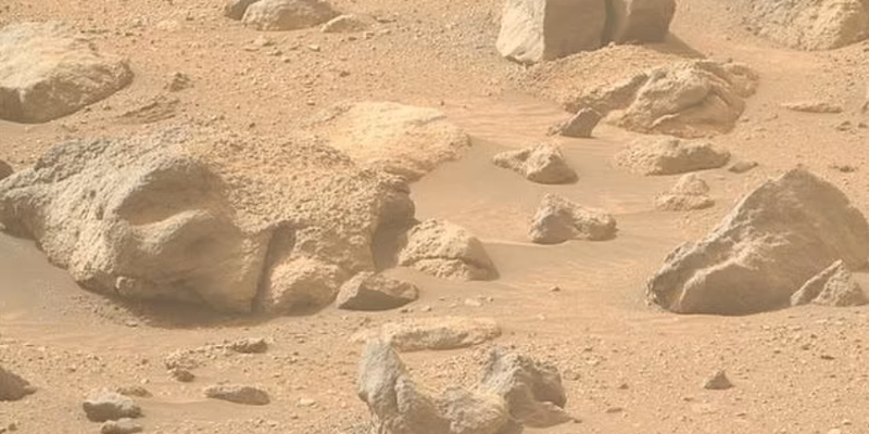 You are currently viewing Mysterious Skull-Shaped Rock Found on Mars: What Are Scientists Saying?