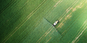 Read more about the article Niyo FarmTech’s Sprayers Are Changing the Game for Small Indian Farmers