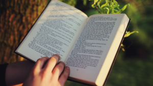 Read more about the article 7 must-read books to lead with power and responsibility