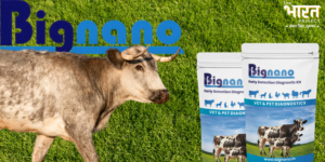 Read more about the article Bignano Ventures Brings Bovine Diagnostic Tech to Rural India