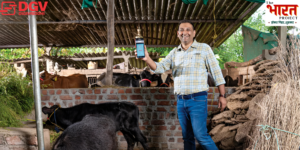 Read more about the article Digivriddhi: Fintech Empowering India's 80M Dairy Farmers