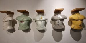 Read more about the article Story and history: How Museum of Goa interprets culture and stimulates dialogue about the future