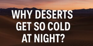Read more about the article Why Deserts Get So Cold at Night?