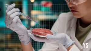 Read more about the article Meet the biotech startups charting the future of lab-grown meat and dairy proteins