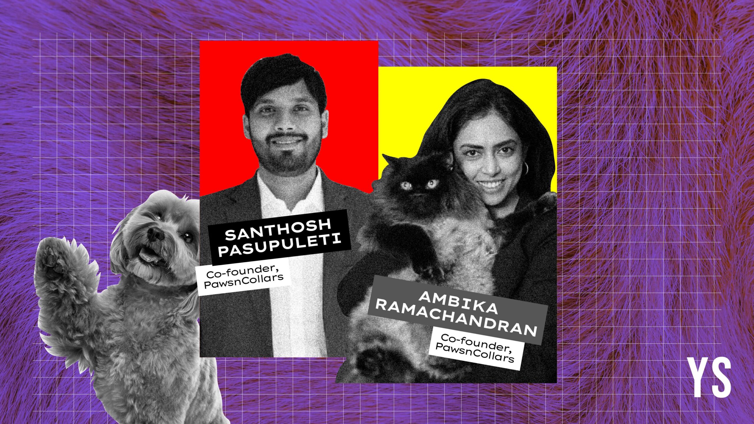 You are currently viewing PawsnCollars is building a 360-degree lifestyle brand for India’s pets and their parents