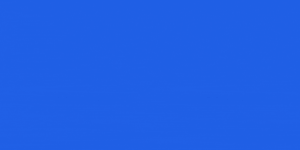 Read more about the article Short-form video builds trust in B2B marketing