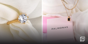 Read more about the article Palmonas raises Rs 55 Cr in Series A round from Vertex Ventures