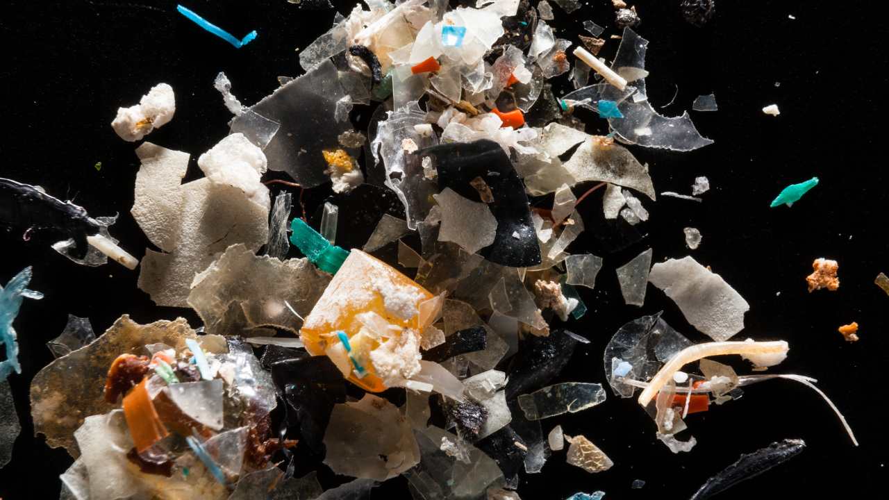 You are currently viewing Microplastics circulating in the atmosphere are causing ‘plastification’ of the world: Study- Technology News, FP