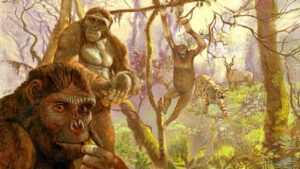 Read more about the article Human ancestor Ardi may have ‘swung from trees’ like chimps till 4.4 mn years ago- Technology News, FP