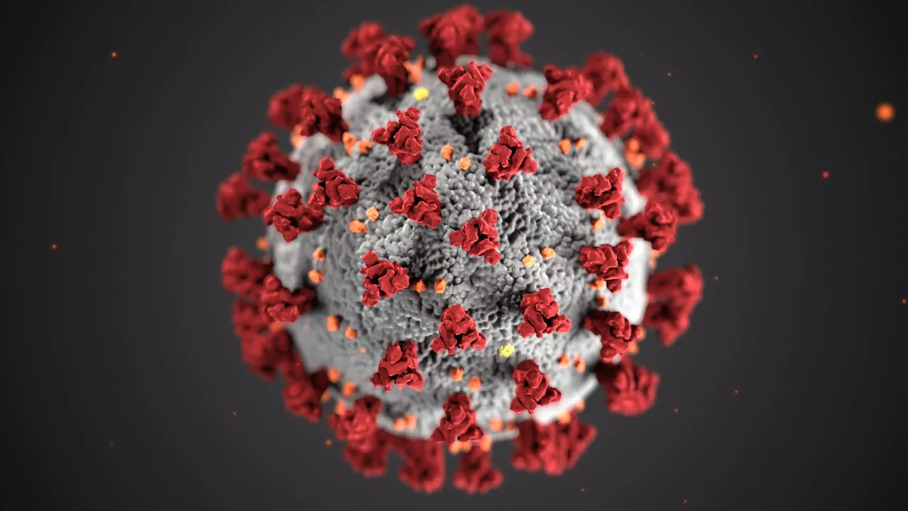 Read more about the article New study finds out how the SARS-CoV-2 virus attaches itself to our cells- Technology News, FP
