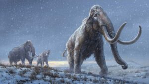 Read more about the article Scientists rewrite mammoth’s family tree using DNA from fossil that’s more than one mn years old- Technology News, FP