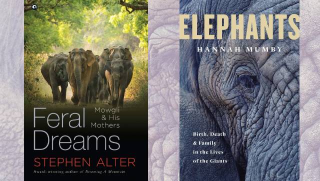 You are currently viewing Two new books, by Stephen Alter and Hannah Mumby, shed new light on humans’ relationships with elephants