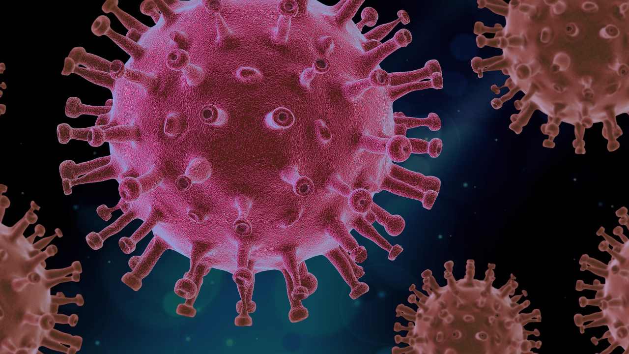 You are currently viewing World is in need of a universal coronavirus vaccine, warn scientists