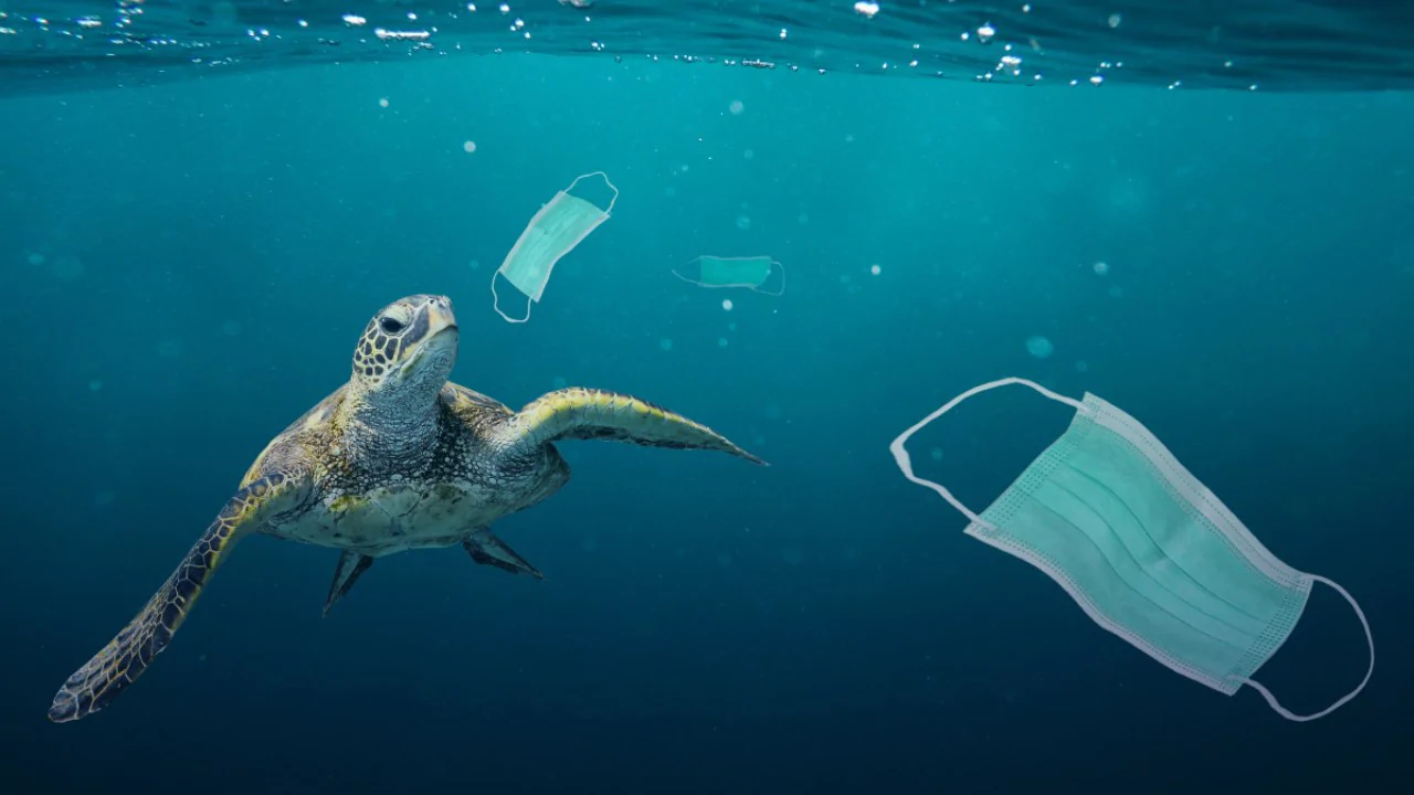 You are currently viewing What happens to the plastic after it enters the ocean?- Technology News, FP