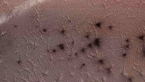 Read more about the article Odd spider-like structures on Mars form as carbon dioxide sublimates, study suggests- Technology News, FP