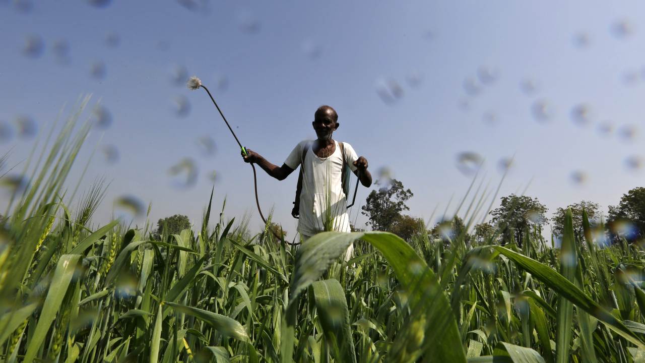 Read more about the article UN warns of growing threats to food systems, livelihoods in agriculture- Technology News, FP