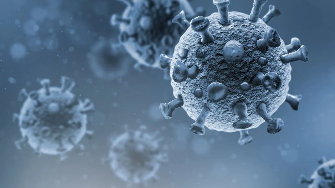 You are currently viewing Four theories are being considered as possible origins for the COVID-19 virus- Technology News, FP