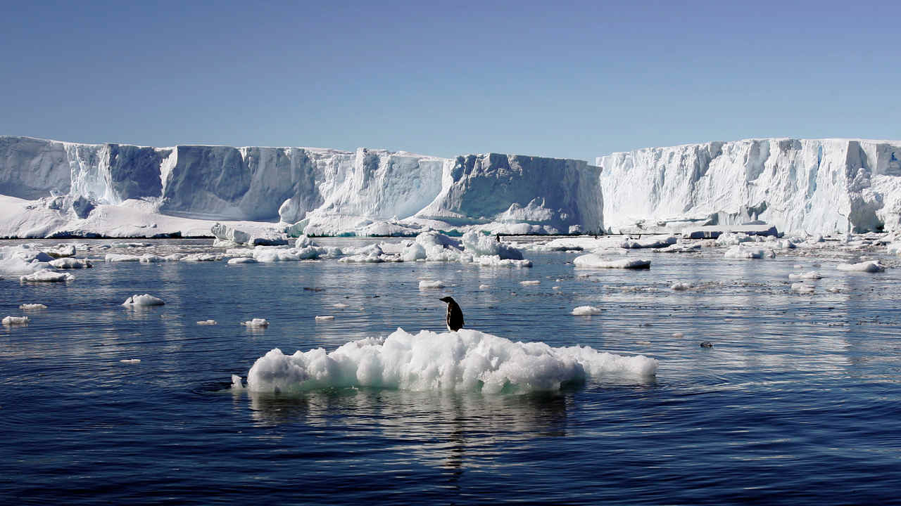 You are currently viewing Third of Antarctic ice shelf at risk of collapsing due to global warming- Technology News, FP