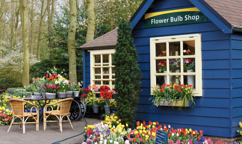 Read more about the article Petal to the Metal: Everything You Need to Open a Flower Shop