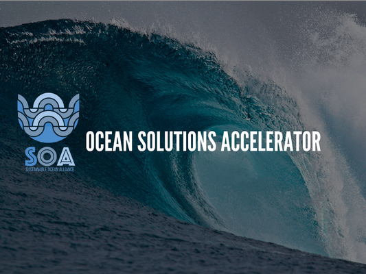 You are currently viewing Ocean Solutions Accelerator doubles down on blue economy with new track for later-stage companies – TechCrunch