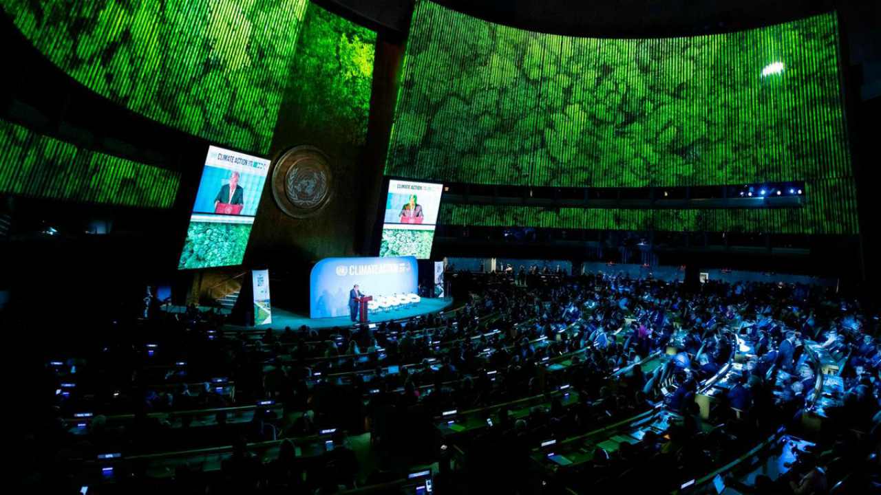You are currently viewing IMF, World Bank roll out debt relief plans for low-income nations in green investments push- Technology News, FP