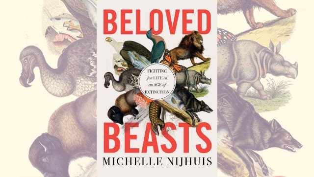 You are currently viewing In Beloved Beasts, Michelle Nijhuis shows that history can help contextualise and guide modern conservation