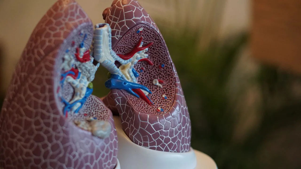 Read more about the article IIT Kharagpur model predicts effect of SARS-CoV-2 virus on lungs post-infection