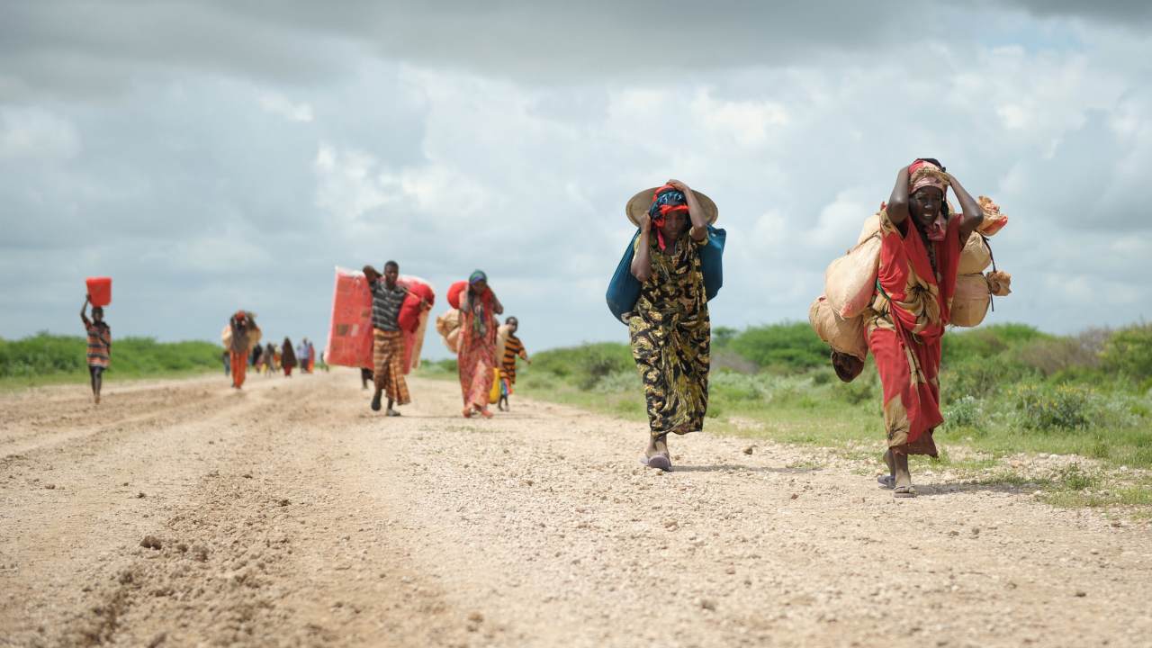 You are currently viewing Conflicts and natural disasters in 2020 displaced 40.5 million people worldwide, says report-World News , FP