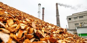 Read more about the article Govt to set up National Mission on biomass use in power plants