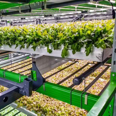 Read more about the article Indoor farming company Bowery raises $300M – TechCrunch