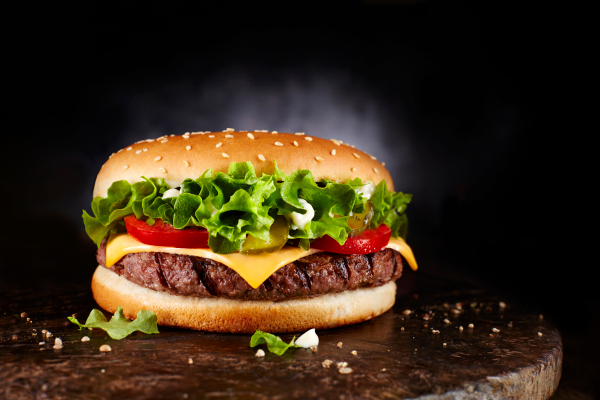 You are currently viewing The hamburger model is a winning go-to-market strategy – TechCrunch