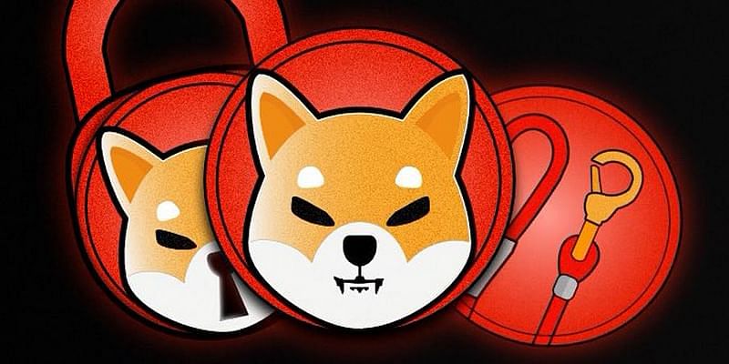 You are currently viewing All about the Shiba Inu coin and how to buy it in India