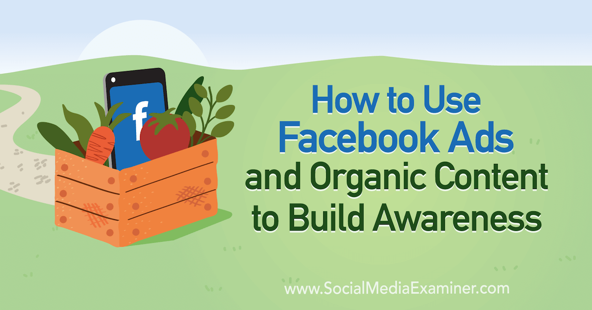 You are currently viewing How to Use Facebook Ads and Organic Content to Build Awareness
