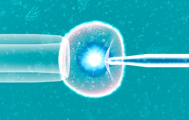 You are currently viewing This startup wants to bring clarity to the complex world of IVF – TechCrunch