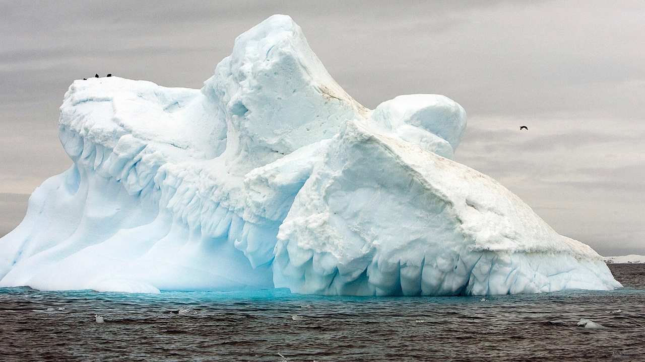You are currently viewing Satellite images reveal ice shelf protecting Antarctic glacier is on the verge of collapse- Technology News, FP