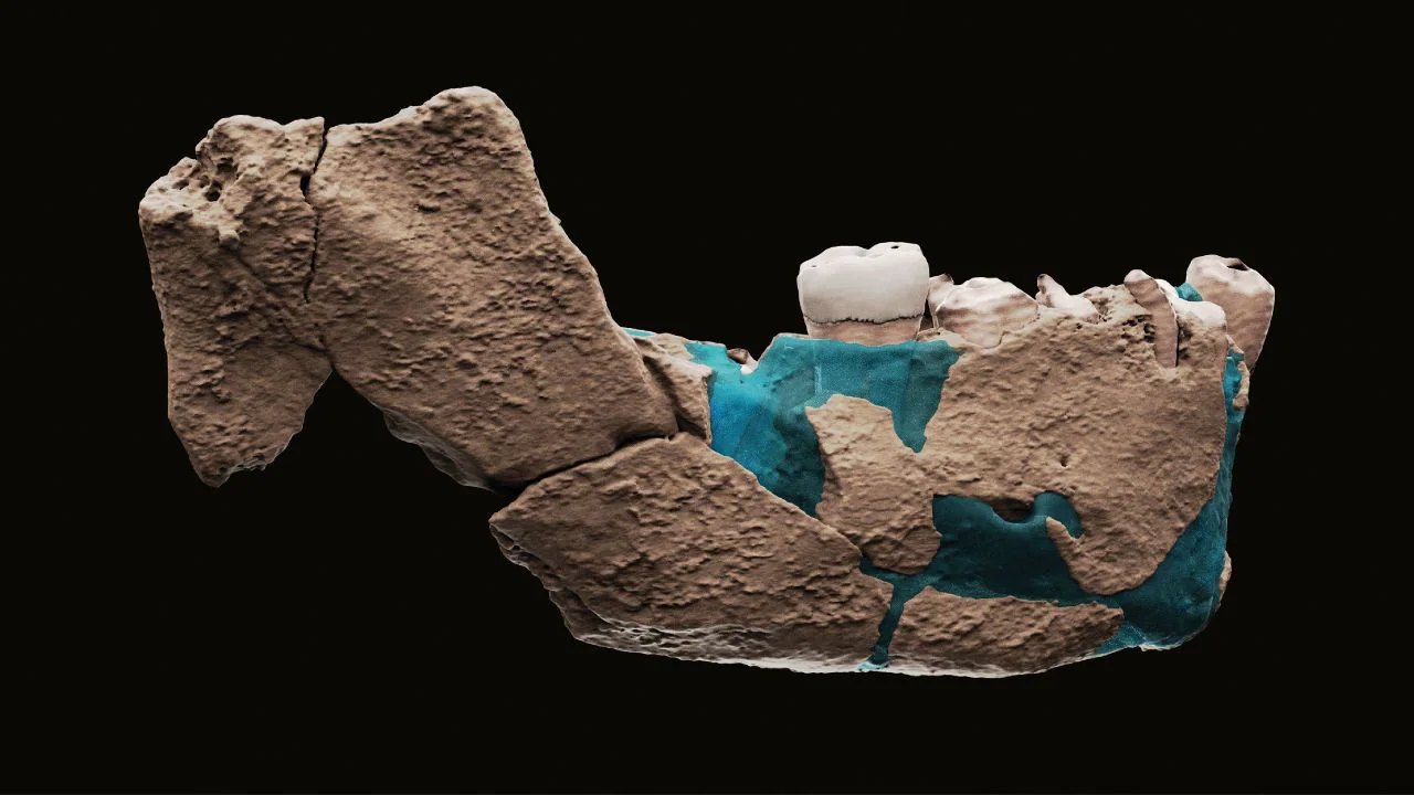 Read more about the article Israeli archeologists find remains of new type of ‘early human’, name it ‘Nesher Ramla Homo’- Technology News, FP