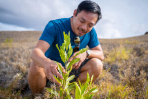 Read more about the article Terraformation gets $30M to fight climate change with rapid reforesting – TechCrunch