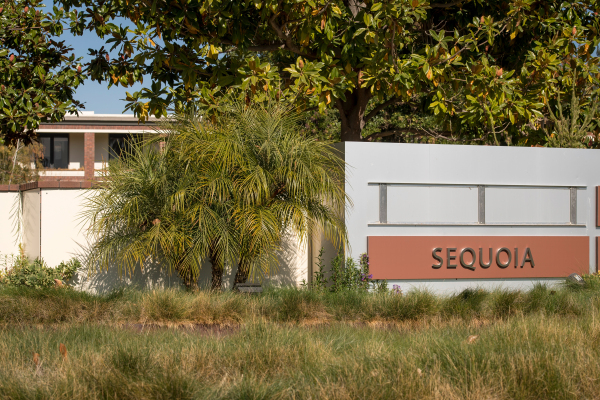 You are currently viewing Sequoia unveils fifth group of startups for Surge – TC