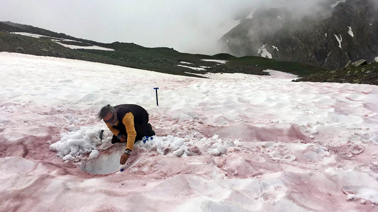 You are currently viewing Spring time in the French Alps cause algae blooms that turn the snow red- Technology News, FP
