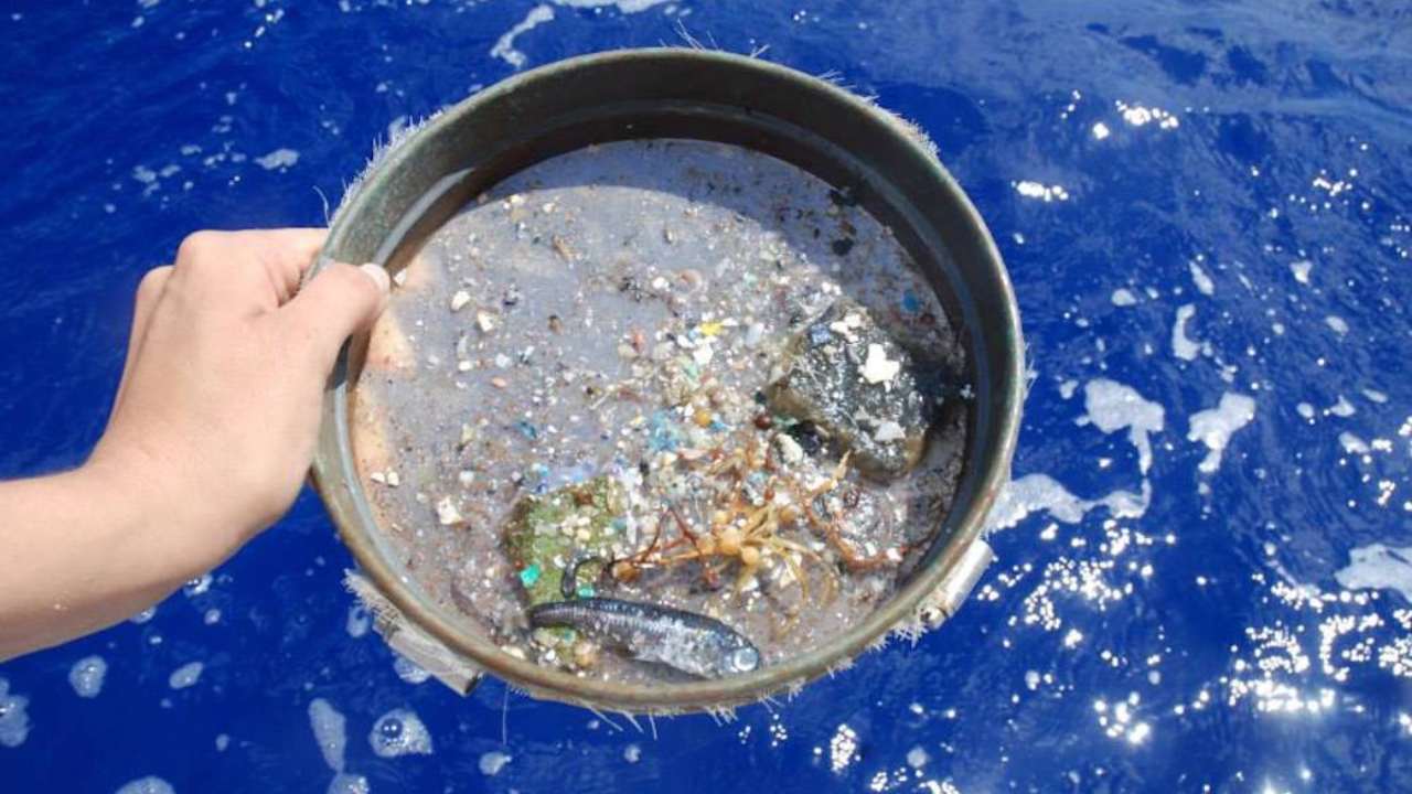 You are currently viewing Scientists use NASA’s CYGNSS satellite data to track microplastics in the ocean- Technology News, FP