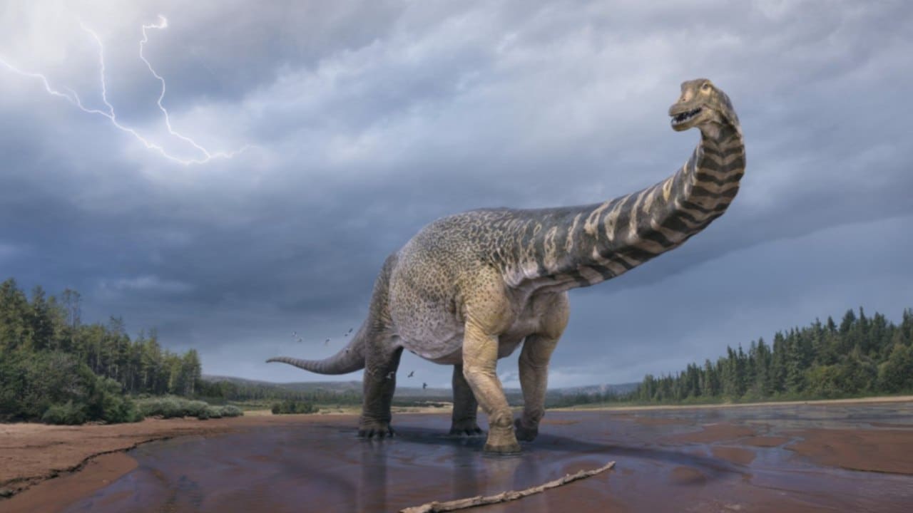 You are currently viewing Australia’s largest dinosaur was as big as two buses combined- Technology News, FP