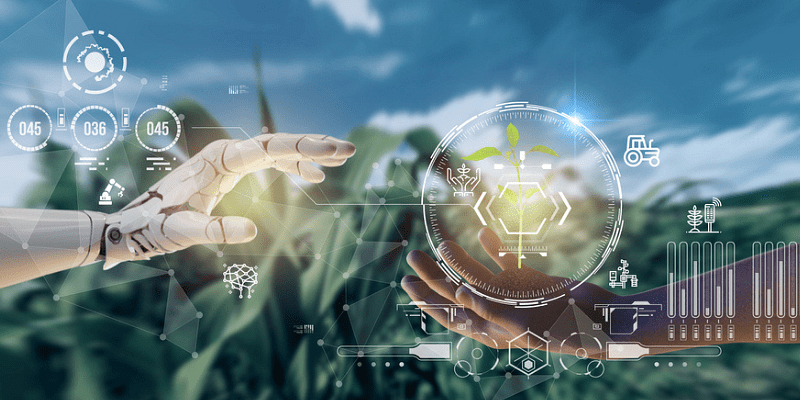 You are currently viewing The importance of AI-based farm management