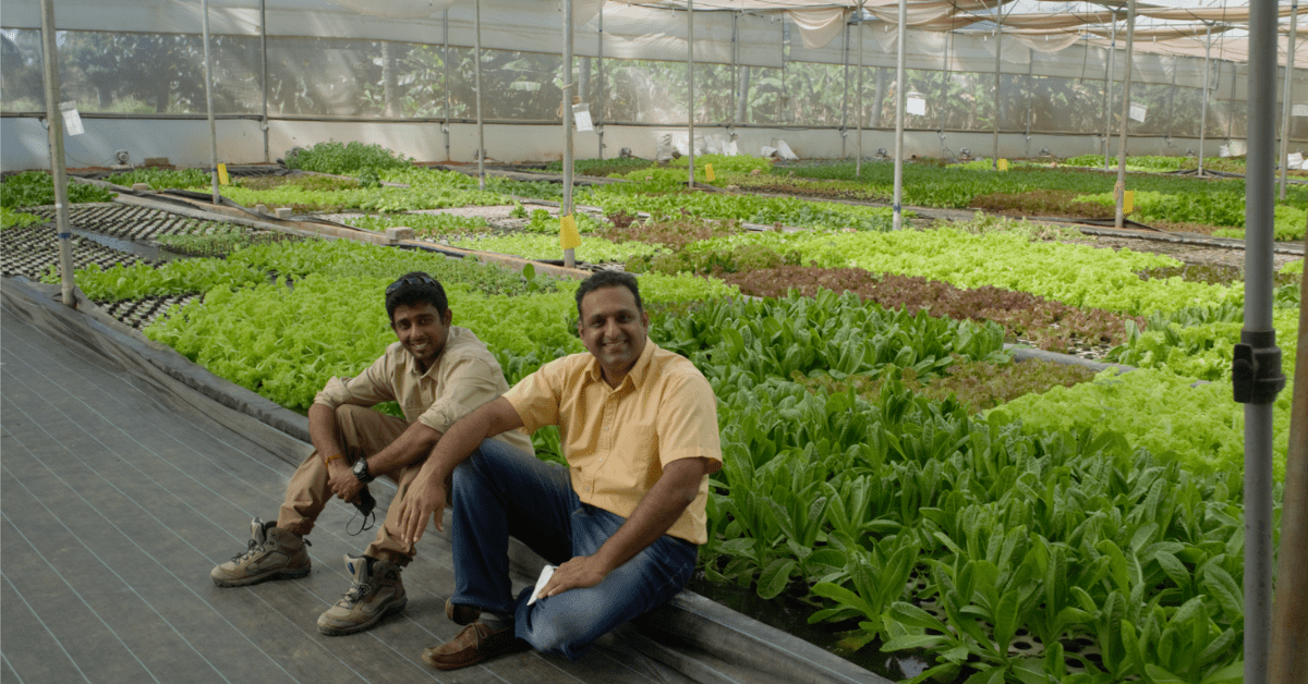 You are currently viewing Fruits And Vegetables D2C Brand Gourmet Garden Raises INR 25 Cr