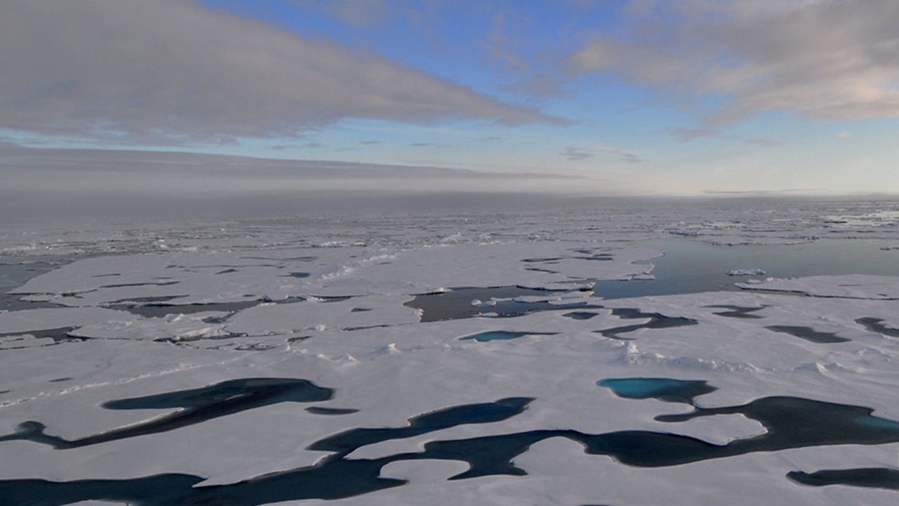 You are currently viewing Arctic’s ‘Last Ice Area’ surprises scientists, shows early signs of melting- Technology News, FP