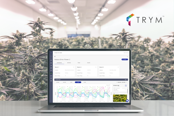 You are currently viewing Trym adds crop steering to its cannabis seed-to-sale platform – TechCrunch