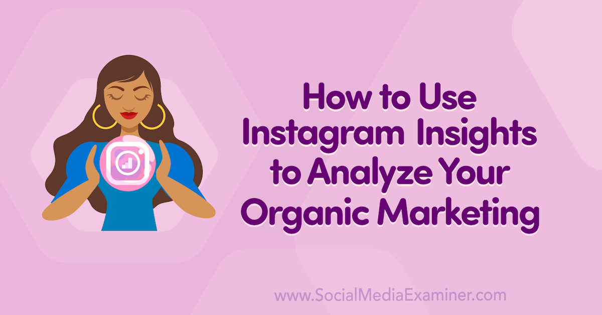 You are currently viewing How to Use Instagram Insights to Analyze Your Organic Marketing